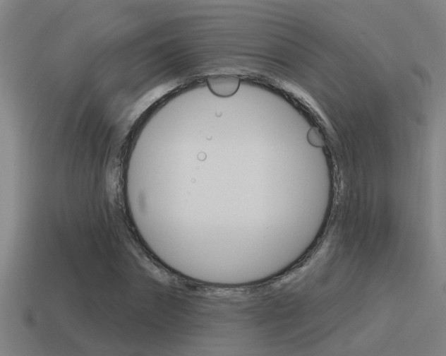 X0000115490874200911060959