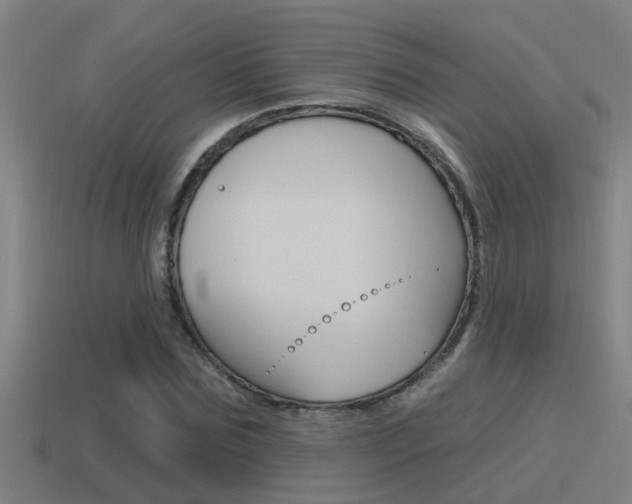 X0000115490875200911060959