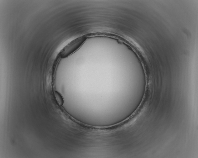X0000115490877200911060959