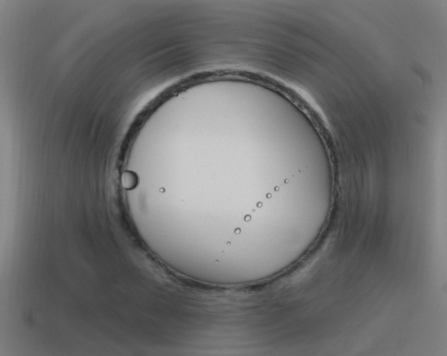 X0000115490879200911060959