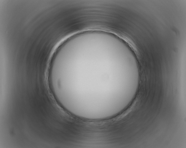X0000115490880200911060959