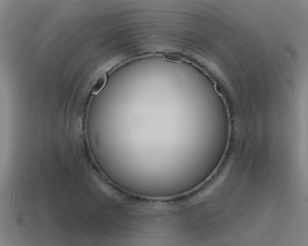 X0000115490881200911060959