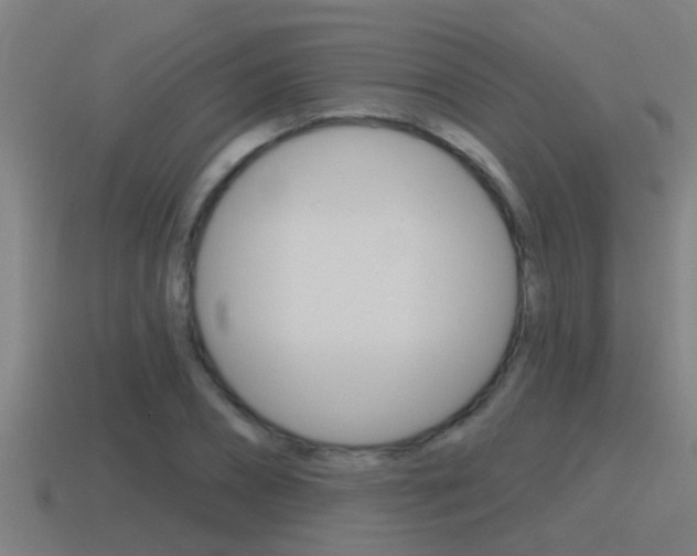 X0000115490882200911060959