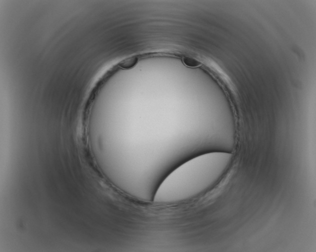 X0000115490883200911060959