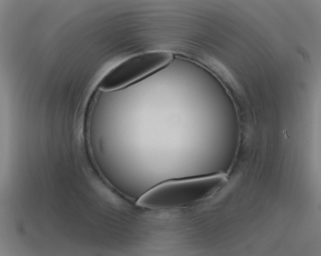 X0000115490884200911060959