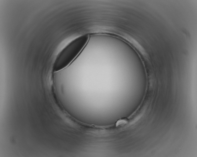 X0000115490885200911060959