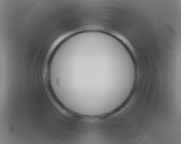 X0000115490886200911060959