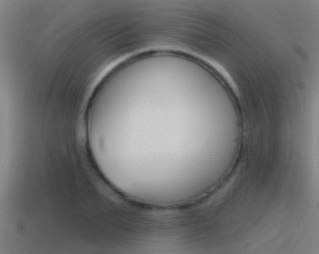 X0000115490887200911060959