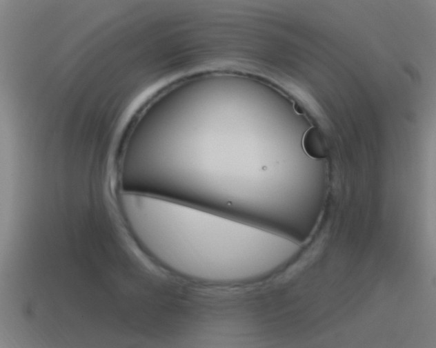 X0000115490888200911060959