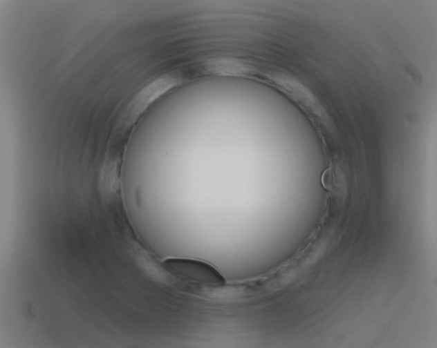X0000115490889200911060959