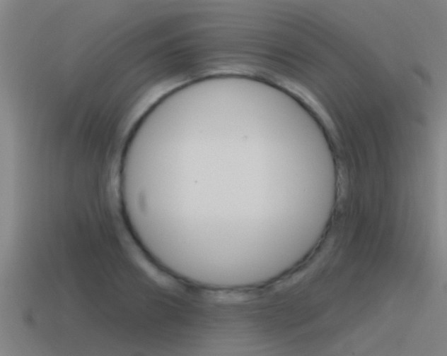 X0000115490890200911060959