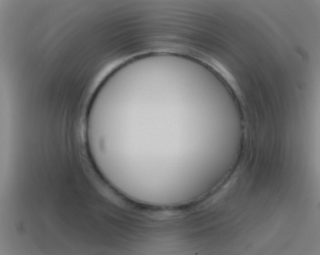 X0000115490891200911060959