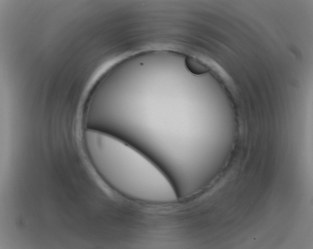X0000115490894200911060959