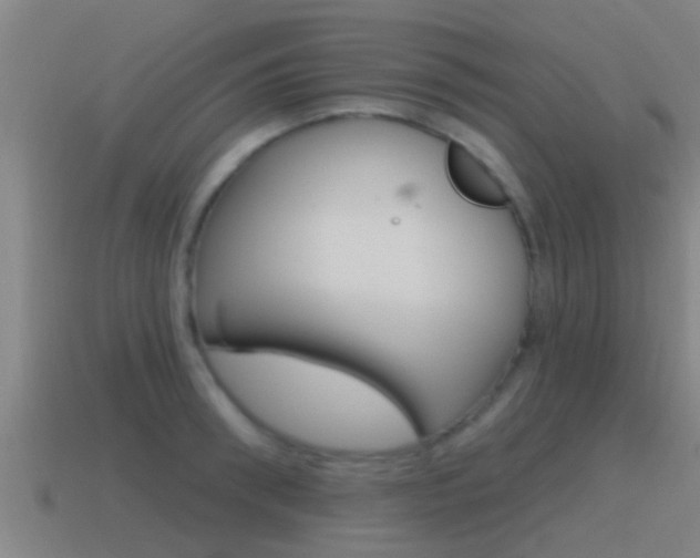X0000115490898200911060959