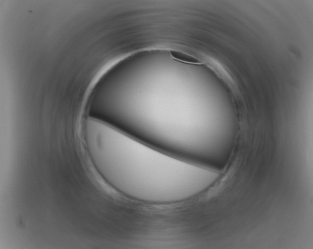 X0000115490900200911060959