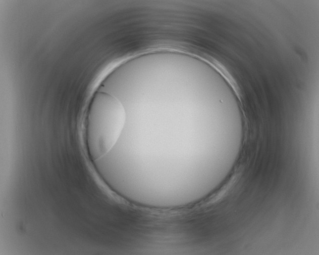 X0000115490901200911060959