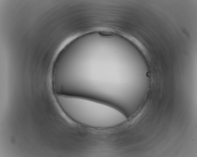 X0000115490902200911060959