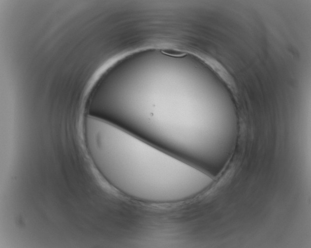 X0000115490904200911060959