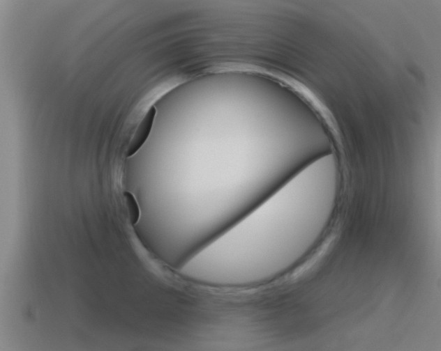 X0000115490905200911060959