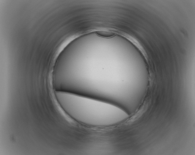 X0000115490906200911060959