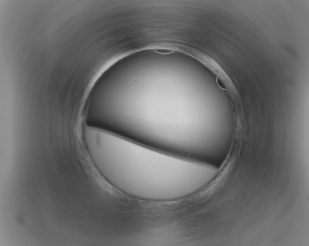 X0000115490908200911060959