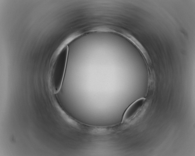 X0000115490909200911060959