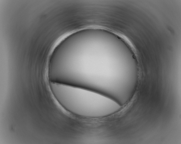 X0000115490910200911060959