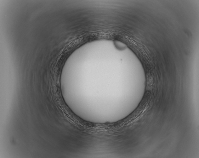 X0000115490913200911060958