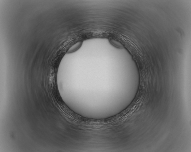 X0000115490914200911060958