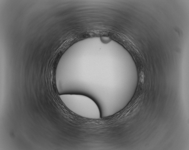 X0000115490915200911060958