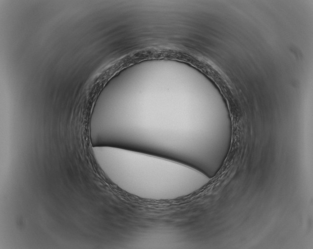 X0000115490919200911060958