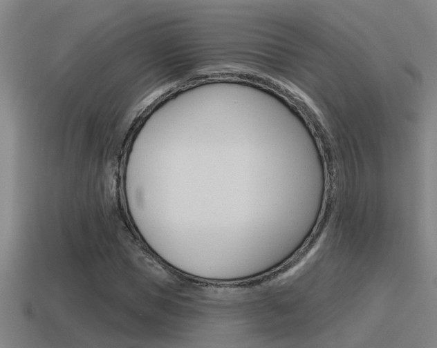 X0000115490921200911060958