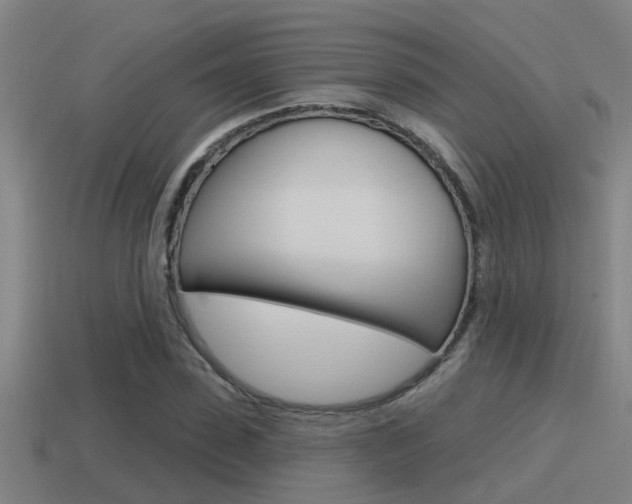 X0000115490923200911060958