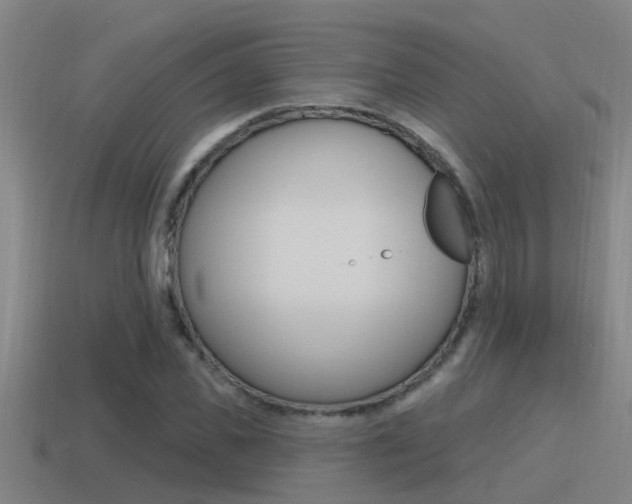X0000115490925200911060958
