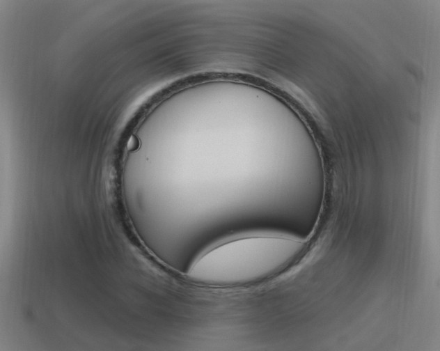 X0000115490926200911060958