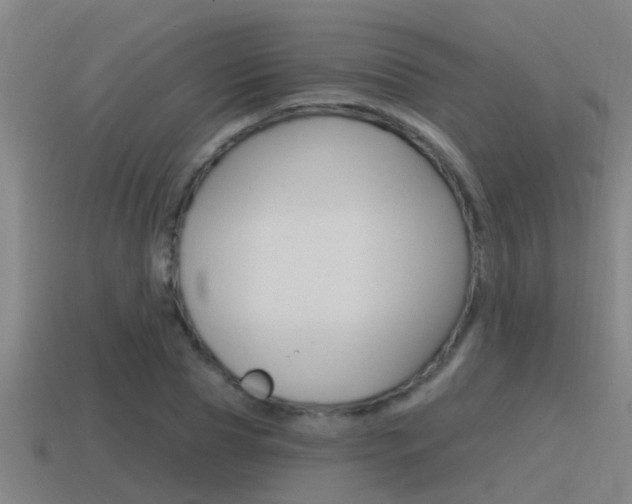 X0000115490929200911060958