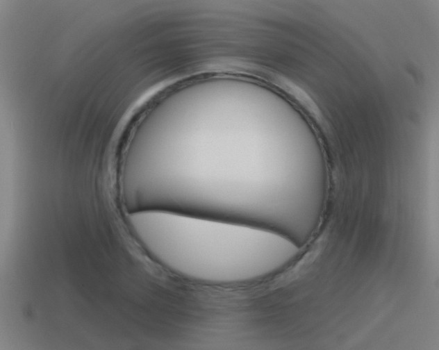 X0000115490931200911060958