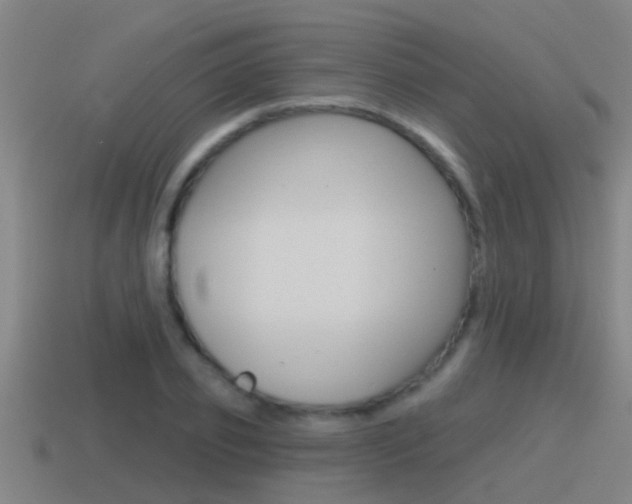 X0000115490933200911060958