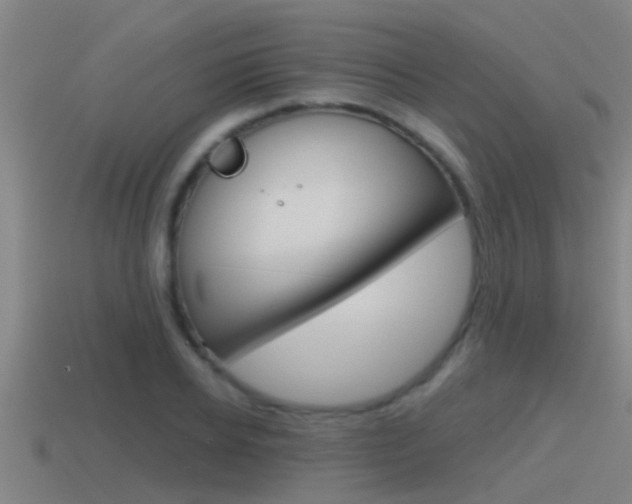 X0000115490934200911060958