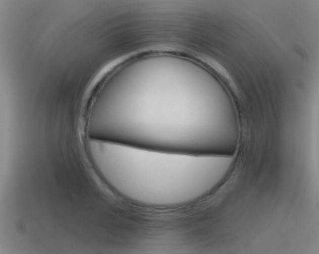 X0000115490935200911060958
