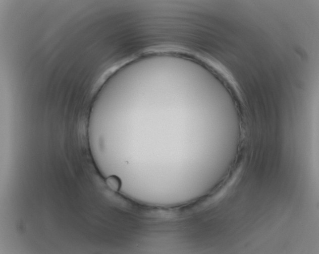 X0000115490937200911060958