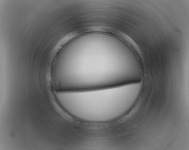 X0000115490938200911060958