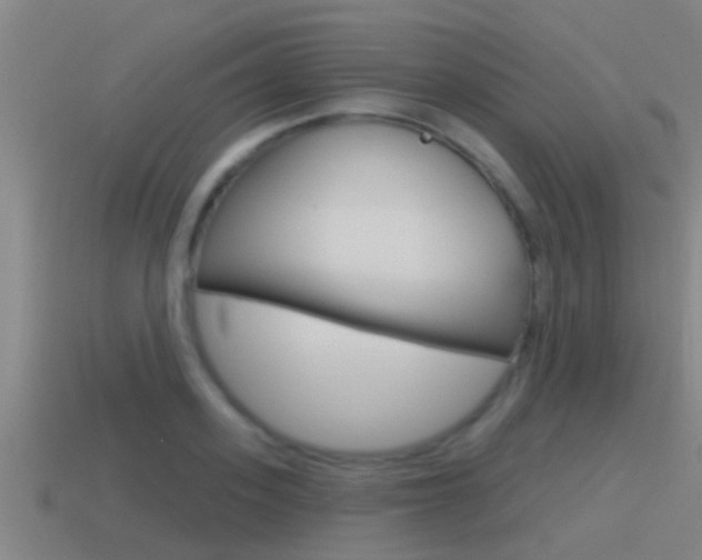 X0000115490939200911060959