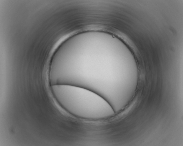 X0000115490941200911060959