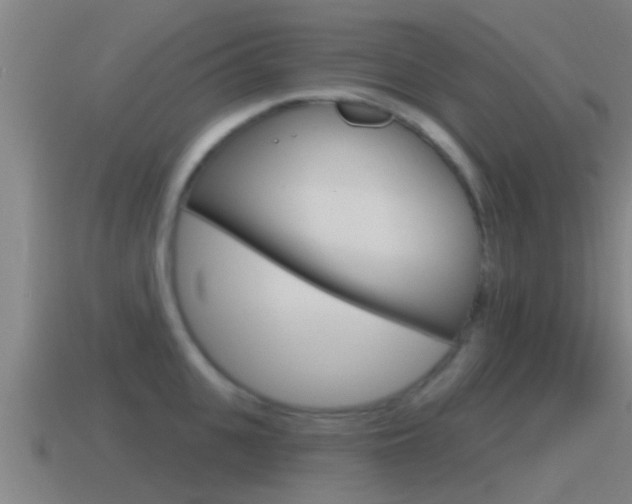 X0000115490951200911060959