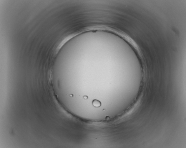 X0000115490953200911060959