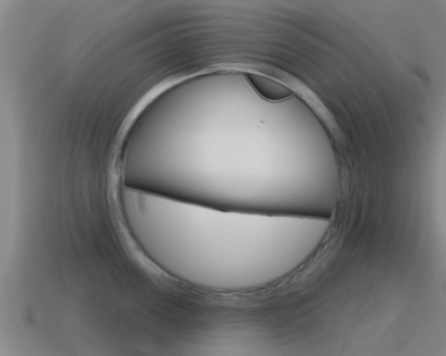 X0000115490955200911060959