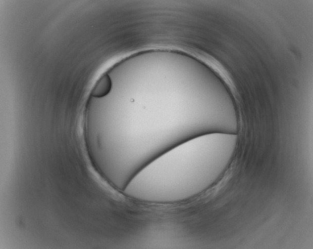X0000115490958200911060959