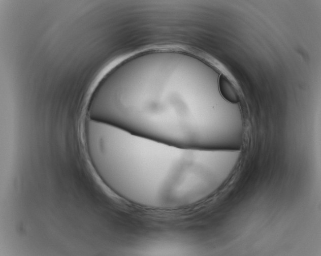 X0000115490959200911060959