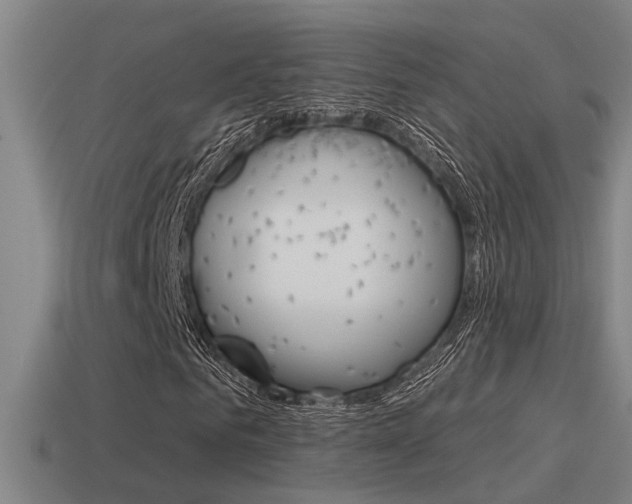X0000115490961200911060958